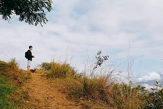 ¿Qué hacer en las zonas verdes durante la Pandemia?