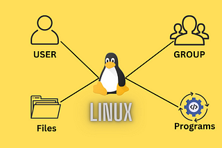 Unlocking the Secrets of User and Group Management in Linux