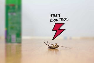 Bakersfield Pest Control Companies, Pest Control Bakersfield