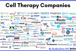 Cell Therapy Companies in the Market