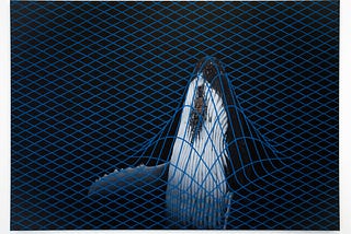 Expoziția „Masă și greutate” a artistului Adrian Preda: animalele marine și fizica relativității