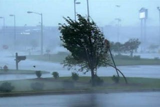 Weathering the storm