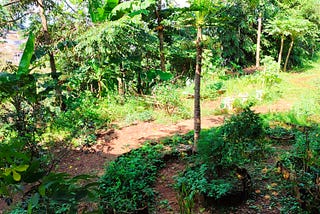 Mahalnya Kegiatan Bermakna