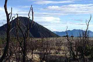 Mount Papandayan (The Death Forest, Edelweiss Flower Field, and The Crater)