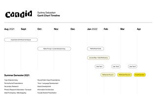 Capstone Process Week 12