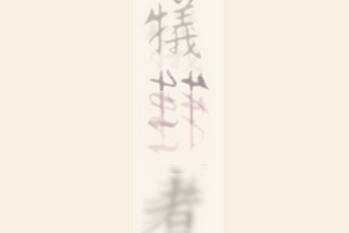 Blurry Japanese writing.