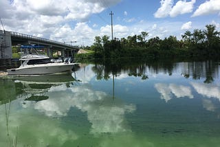 Standing Up for Clean Water in the Caloosahatchee River