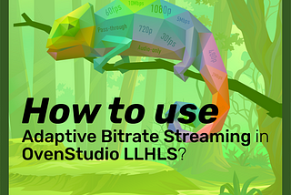 How to use ABR Streaming in OvenStudio LLHLS?