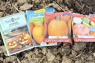 Planting Pumpkins and Some New Varieties of Winter Squash-Episode 16 of Leaf, Wing, and Sun