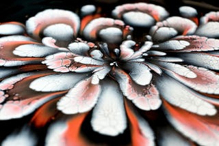 Black & White Flower Dip with a Striking Iridescent Accent! 🌸🖤✨