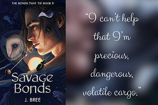 An Analysis of Savage Bonds | Book 2 of Bonds that Tie Series by J. Bree