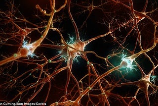 NEURON IN NEURAL NETWORK(biological neuron)