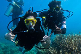 scuba divers underwater above coral reefs