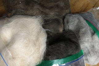 Four colors of cat fur, collected into bags, and now being displayed outside of them.