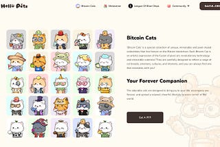 The Bitcoin Cats MEME Competition is Launching