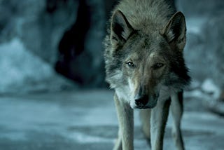 ALPHA (2018): 7 Critical Questions [movie review]