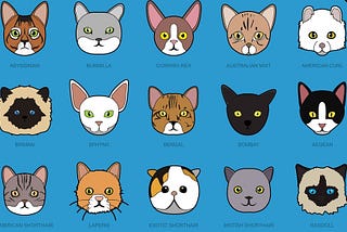 What Are the Different Cat Breeds