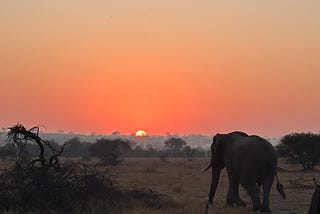 Three Notes from Africa