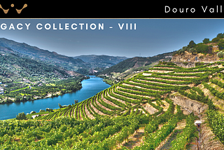 Douro Valley