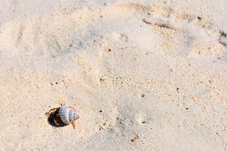 Build a Custom CLI with Bash