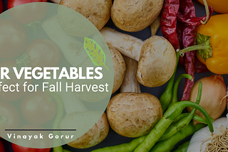 Four Vegetables Perfect for Fall Harvest