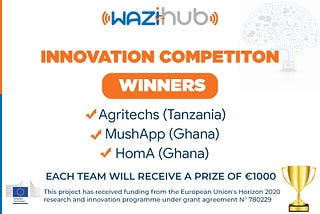 The WAZIHUB Innovation Competition: a driver for IoT Open Innovation in Africa