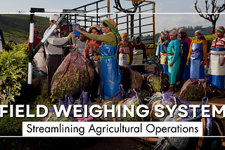 Field Weighing System: Streamlining Agricultural Operations