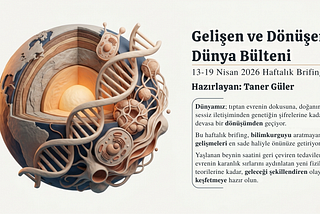 Gelişen ve Dönüşen Dünya Bülteni 21