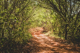 Help! I’m trapped in a sustainability rabbit hole!