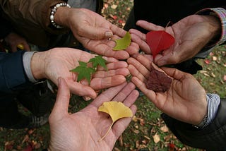 Five hands from different people holding one leaf each, in different colours and shapes