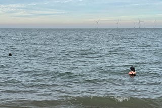 A woman wearing a hat, swimming with a grey seal in the North Sea.