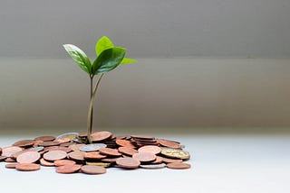 Coins on table with small tree growing from them.