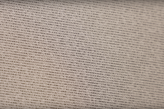 Discovering the World’s Largest Prime Number