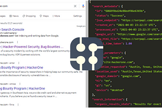 SerpScan -Automate your Recon using search engines