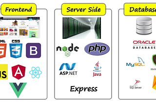 Should You Be a Back-End, Front-End, or Full-Stack Developer?