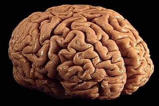 How to think critically about Elon Musk’s NeuraLink