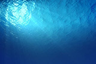 Swim Towards the Light