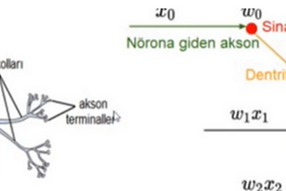 Derin Öğrenmede Yapay Sinir Ağları Nasıl Öğrenir?