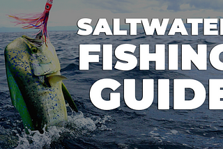 A Guide to Saltwater Fishing