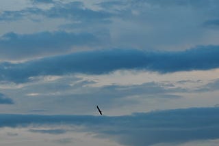 Finding Your Own Path: A Journey Through Mastery