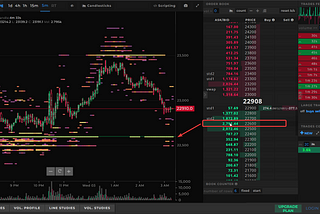 Bear or Bull, How to use these crypto tools and profit consistently