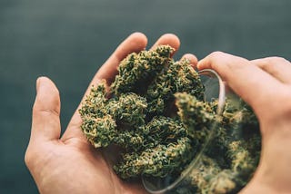 A Beginner’s Guide to Using CBD Flower In The UK