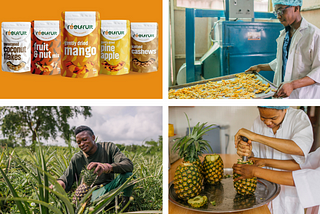 ReelFruit Raises $3 Million Series A Funding to Expand Production with New Factory