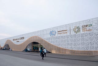 What did COP29 achieve?
