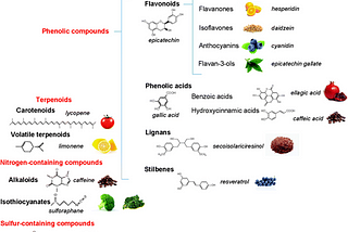 Part 1: Polyphenols & Health