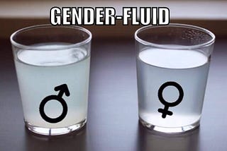 Gender-fluid gets added to the Oxford English Dictionary