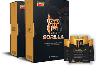 What is Video Gorilla