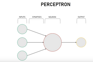 Create a Simple Perceptron from Scratch — Neural Network