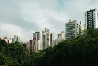 Concerns Around Miyawaki Forests