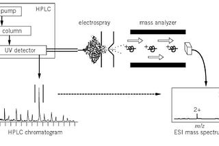 Liquid Chromatography and Mass Spectrometry — How It Works